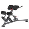 Insight Fitness DR010B Back Extension