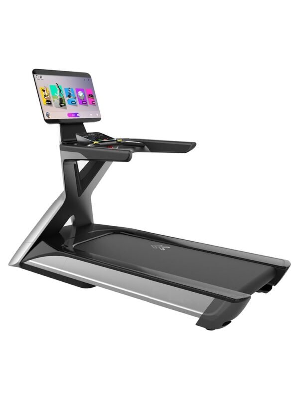 WNQ Fitness Venus Commercial Treadmill 6.5HP VENUS-XT