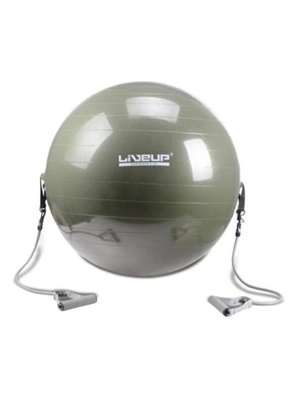 LiveUp Gym Ball With Exerciser LS3227 | 65 cm