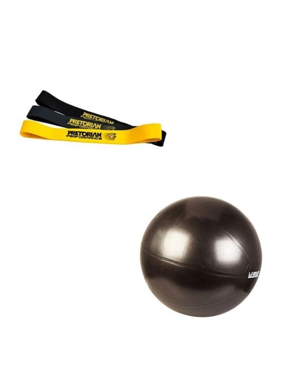 LiveUp Stability Ball With Pump LS3579