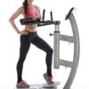 TA Sport Pommel Torso Exercise Machine PT Model S