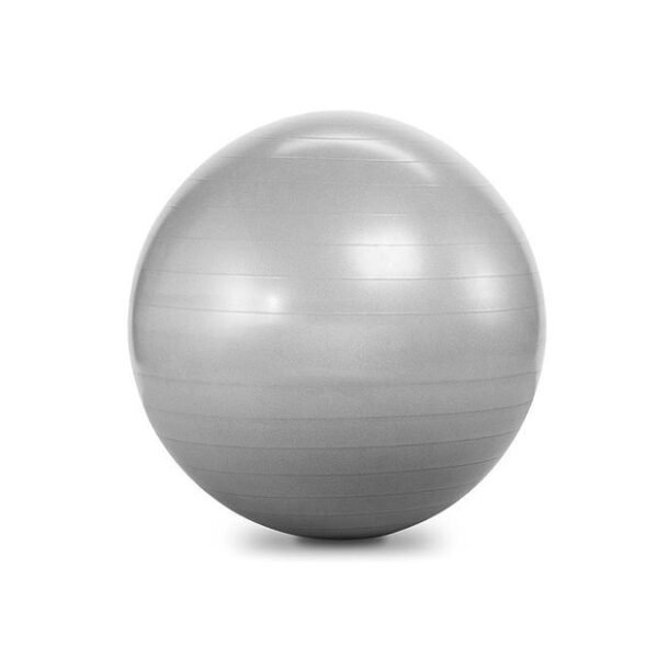 H Pro Yoga Ball 65 CM Box Silver