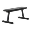 ProForm Flat Bench PFBE01120