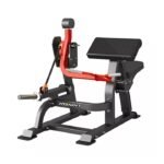 Insight Fitness DH021 BicepsCurl Machine