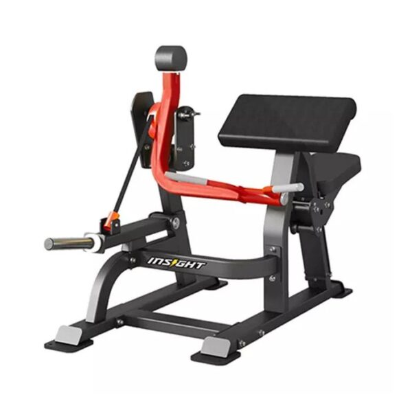 Insight Fitness DH021 BicepsCurl Machine