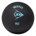 Dunlop Intero 12 x 1Bbx Squash Ball DL700105