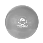 Winmax Gym Ball WMF09945