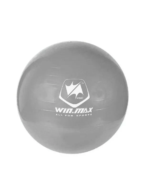 Winmax Gym Ball WMF09945
