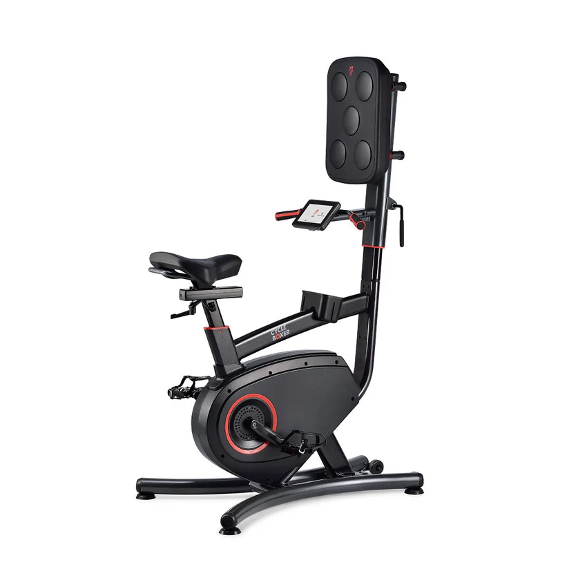 LIFESPAN CYCLE BOXING BIKE CB110