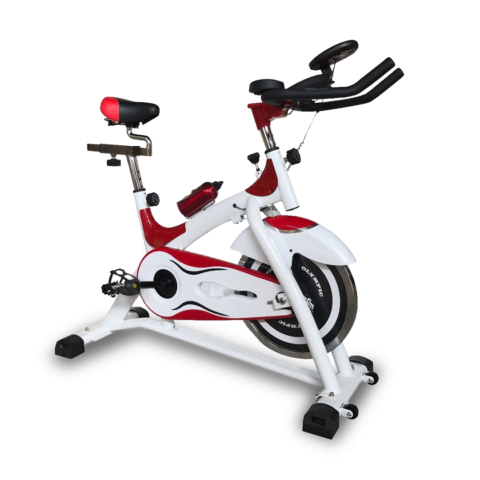 PowerMax BS-155 Home Use Group Spin Bike