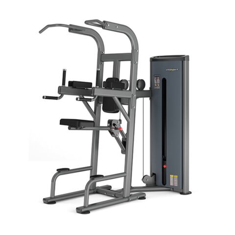 Insight Fitness Easy Chin/Dip DA008E