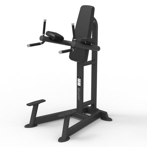 Spirit Fitness Knee Lifting Machine SP-4215