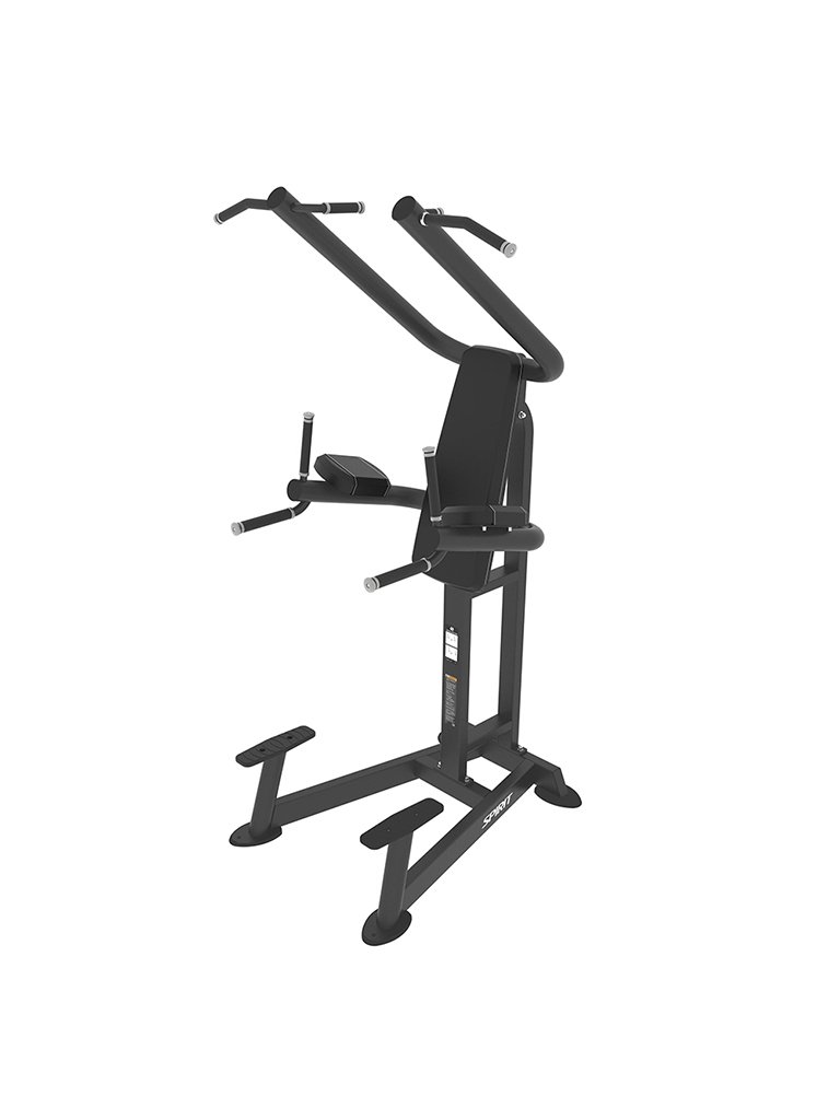 Spirit Fitness Chin / Dip Station SP-4219 - view 3