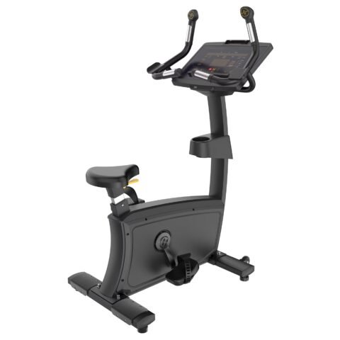 Insight Fitness Commercial Upright Bike RU5