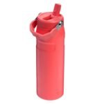 Stanley IceFlow Flip Straw 2.0 Bottle view 2