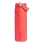 Stanley IceFlow Flip Straw 2.0 Bottle