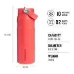 Stanley IceFlow Flip Straw 2.0 Bottle view 4