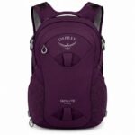 Osprey Daylite Travel Pack Purple One-Size 10002198