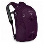 Osprey Daylite Travel Pack Purple One-Size 10002198 view 2