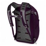 Osprey Daylite Travel Pack Purple One-Size 10002198 view 3