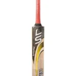 TA SPORT LS Cricket Bat Pakistani Willow (D) - image 4
