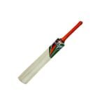 TA Sport Cricket Bat for Soft Ball Play Bleach Finished - image 3