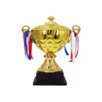 TROPHIES GOLD H 40CM 936C - image 2