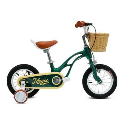Mogoo Flyer 12