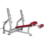 BH Fitness Decline Bench L855 13010282-101
