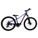 Trinx N106 26-Inch Mountain Bike Purple 26-TNX-N106-PUR