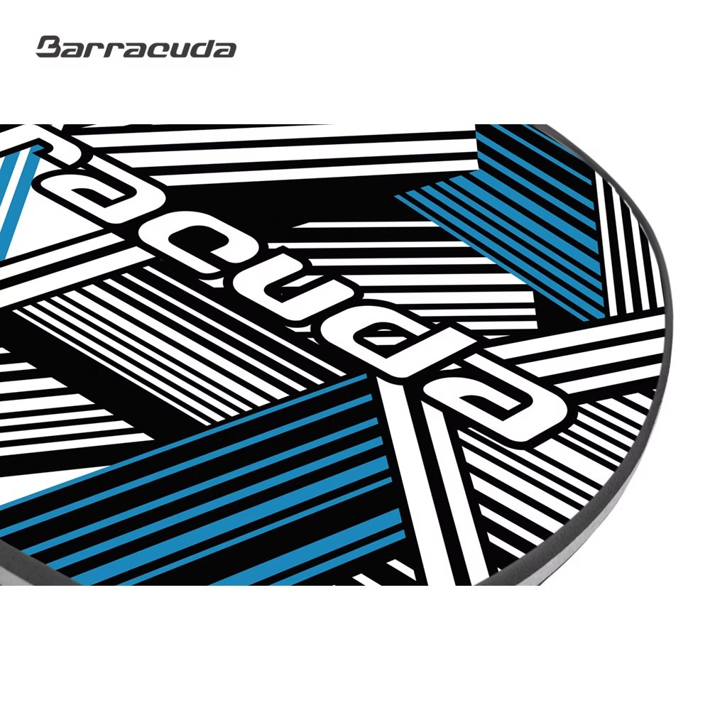 BARRACUDA Kickboard Aquapop Strips Blue B14M - image 2