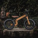 Early Rider Bonsai Natural Balance Bike 450209-D-SB12 view 3