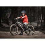 Early Rider Hellion 20 Kids Mountain Bike Brushed Aluminium 450246-D-HN20 view 4