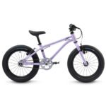 Early Rider Belter 16 Kids Bike