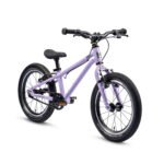 Early Rider Belter 16 Kids Bike view 2