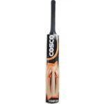 Cosco T-20 Cricket Set view 3