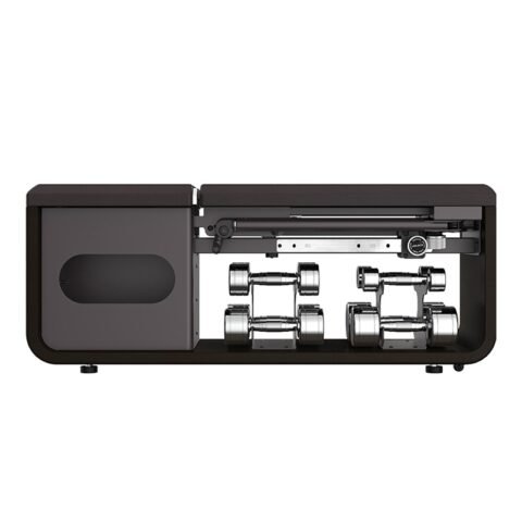 Axox Fitness Prima All-in-One Fitness Bench Adjustable Cable Resistance & Dumbbell Training Bench AX-EBT01-BR
