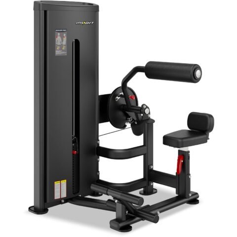 Insight Fitness Abdominal Back Extension Machine DA009E