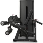 Insight Fitness Leg Extension Curl Machine DA025E - view 3