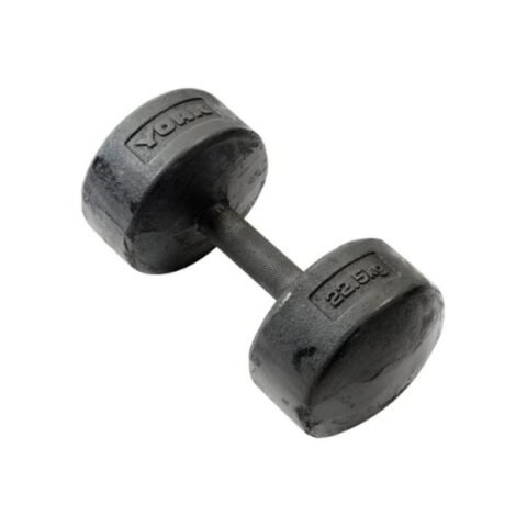 York Dzlg11 Round Dumbbell 22.5 kg Black