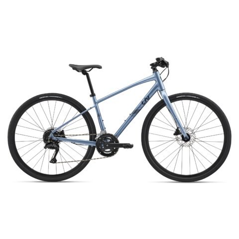 GIANT Liv Alight 2 Disc Women’s Hybrid Bike Silver Medium GI1002012125