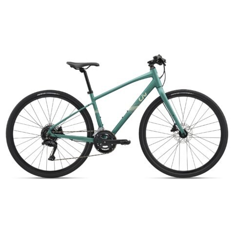 GIANT Liv Alight 2 Disc Women’s Hybrid Bike Mineral Green