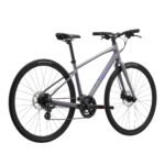 GIANT Liv Alight 3 Disc Women’s Hybrid Bike view 2