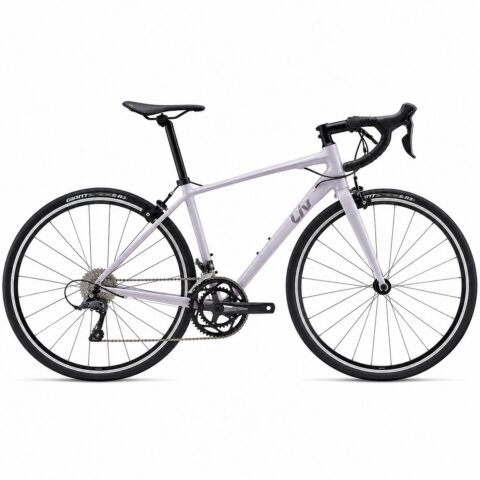 GIANT Women's Liv Avail 3 Misty Road Bike L GI101700312701
