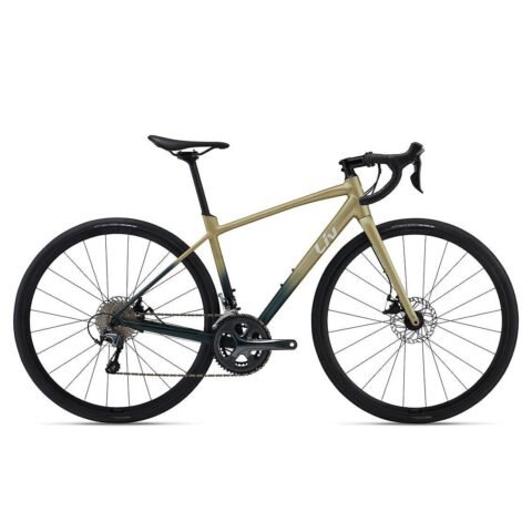GIANT Liv Avail AR 2 All-Road Endurance Bike M GI101701012501