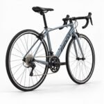 GIANT Contend 3 Road Bikes Knight Shield view 3