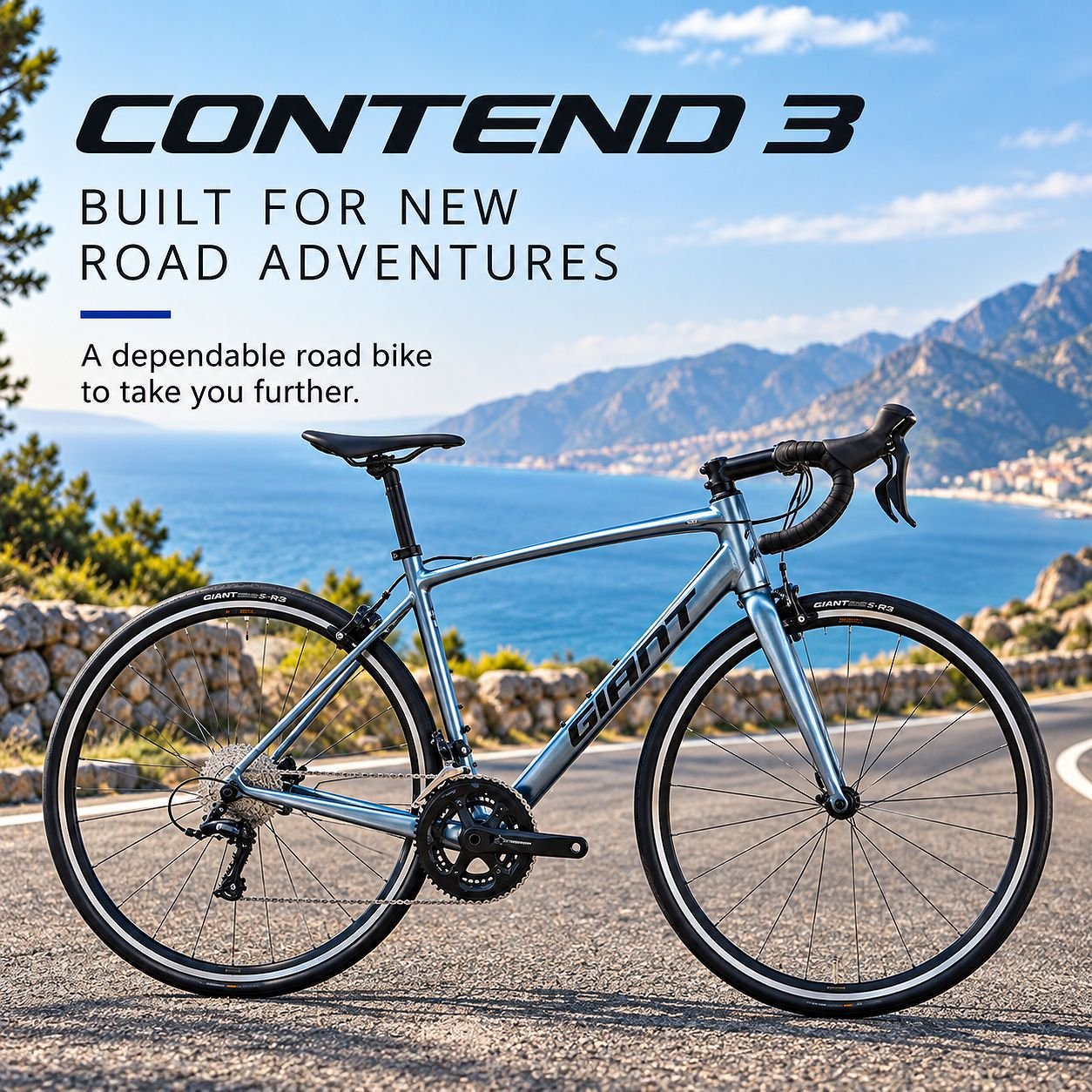 GIANT Contend 3 Road Bikes Knight Shield view 4