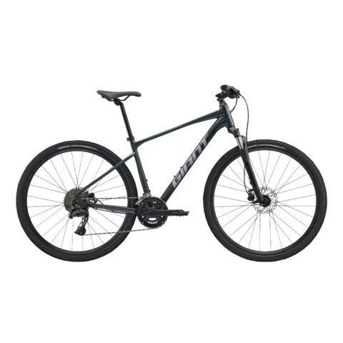 GIANT Roam 2 Mountain Bike Asphalt Green Small