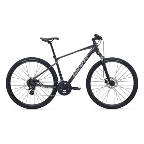 GIANT Roam 4 Gravel Bike Stealth Chrome