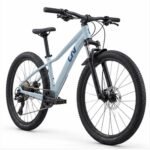 GIANT Liv Tempt 24 Disc Kids Lightweight Mountain Bike Dusty Blue GI1127015120 view 3